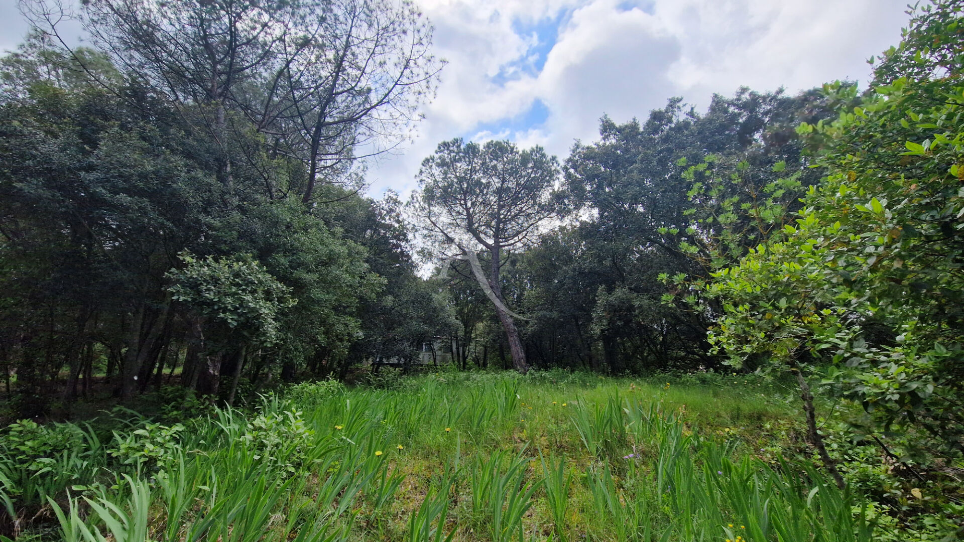 Photo Terrain constructible à Palaja proche CARCASSONNE image 3/6