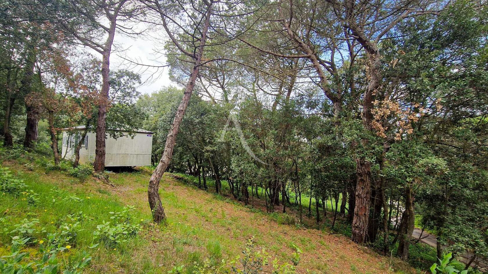 Photo Terrain constructible à Palaja proche CARCASSONNE image 5/6