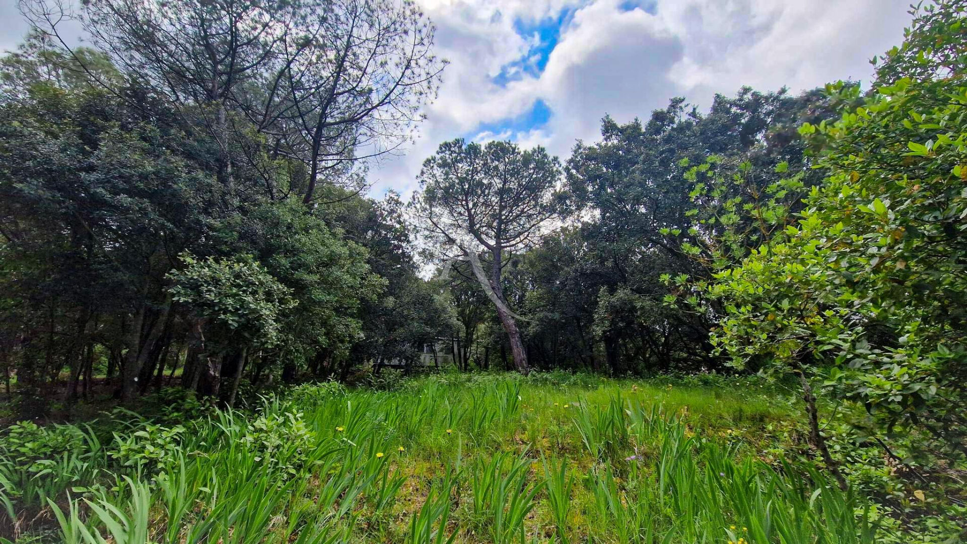 Photo Terrain constructible à Palaja proche CARCASSONNE image 6/6