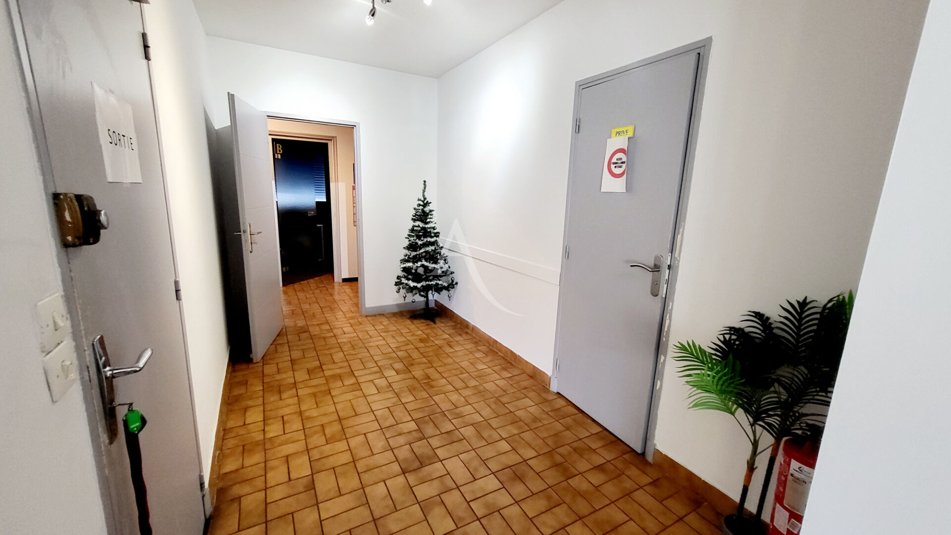 Photo LOCAL PROFESSIONNEL EN CENTRE VILLE DE CARCASSONNE image 4/6