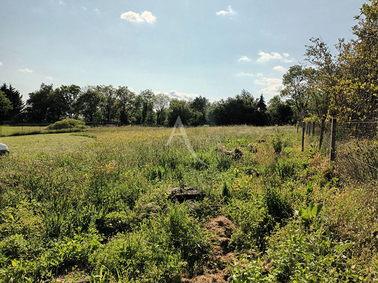 Photo Terrain viabilisé et constructible à Saint Denis de 2723 m2 image 3/3