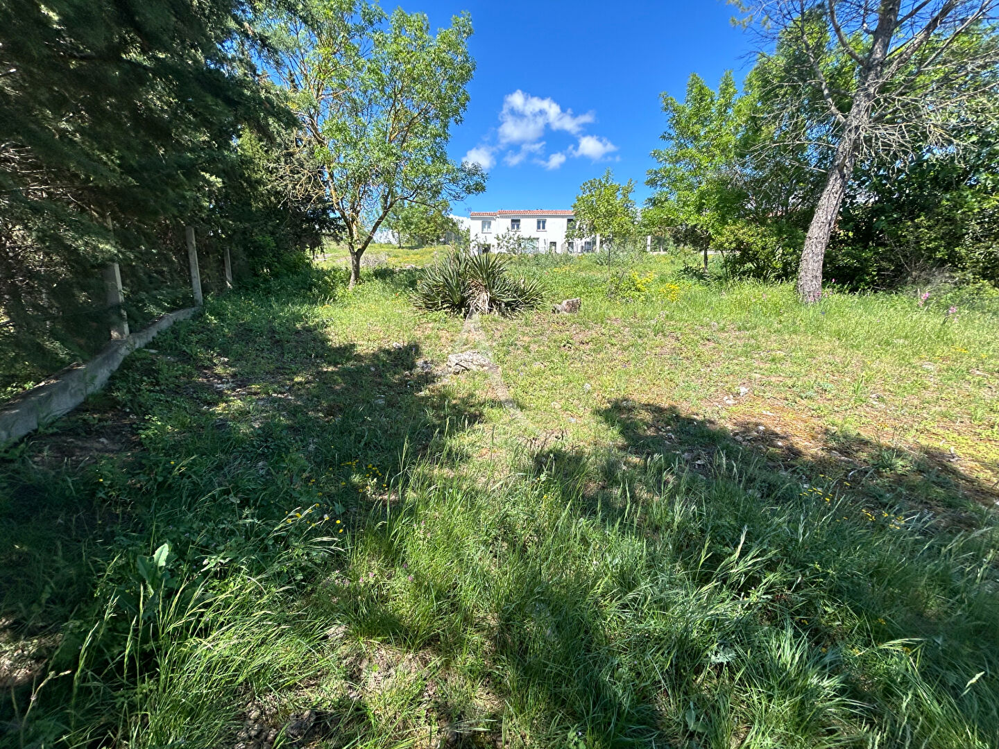 Photo Terrain proche de Carcassonne 1823 m2 image 3/6
