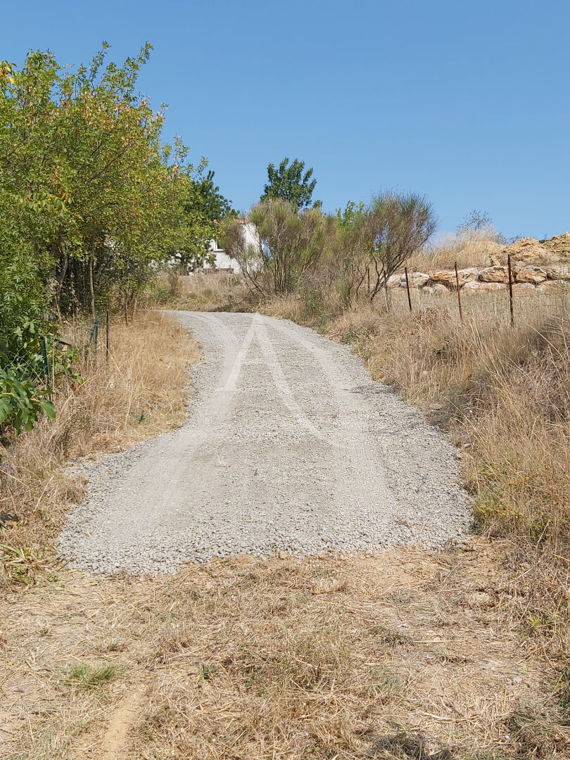 Photo Terrain proche de Carcassonne 1823 m2 image 4/6