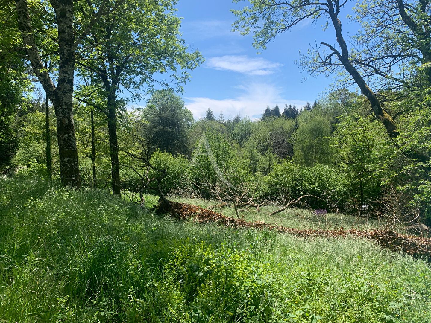 Terrain à Bâtir viabilisé à Fontiers-Cabardès