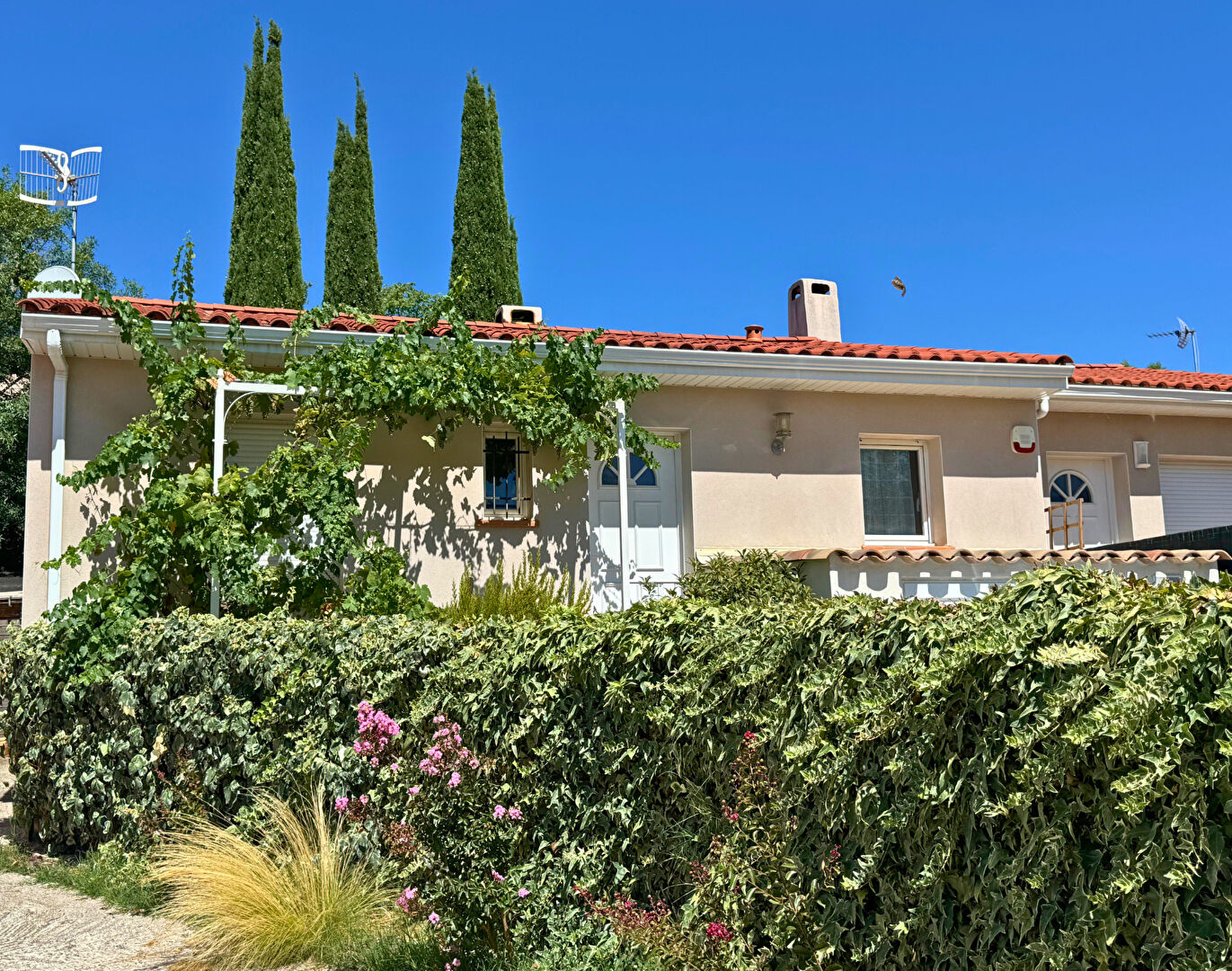 Photo Un plain pied sans travaux ! image 3/6