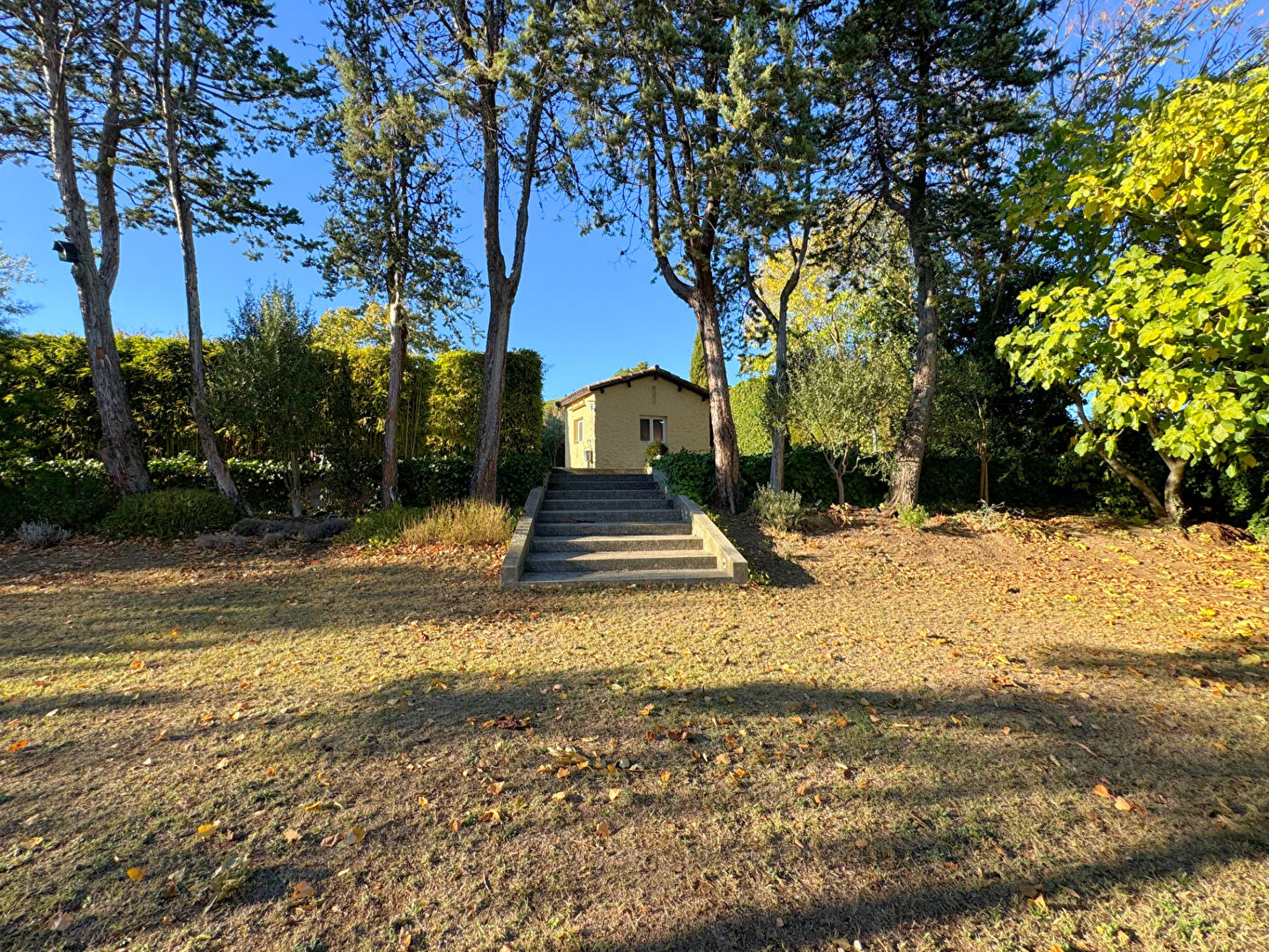 Photo Ilot de verdure proche de Montpellier ! image 4/6