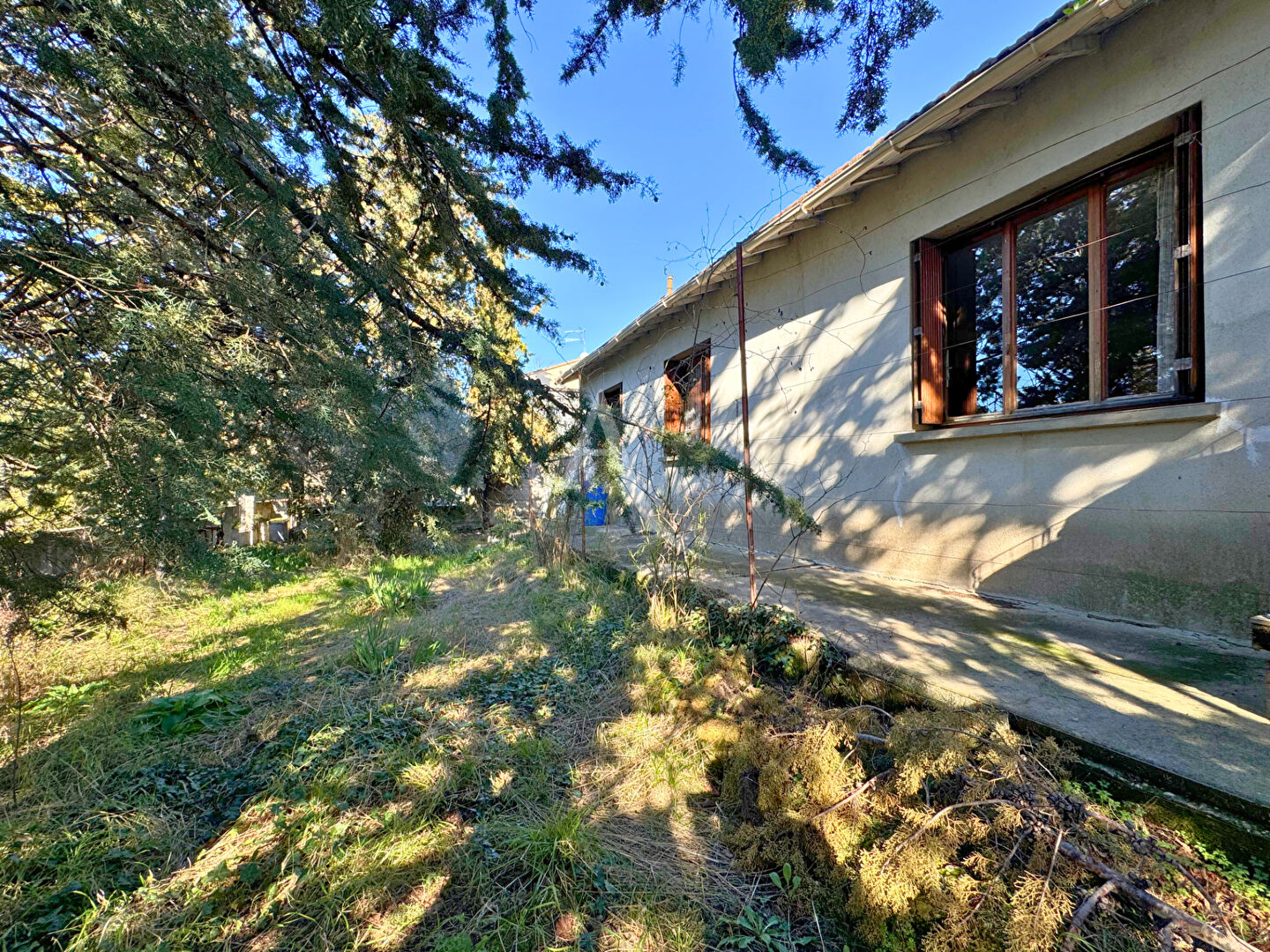 Photo Beau potentiel ! image 4/6