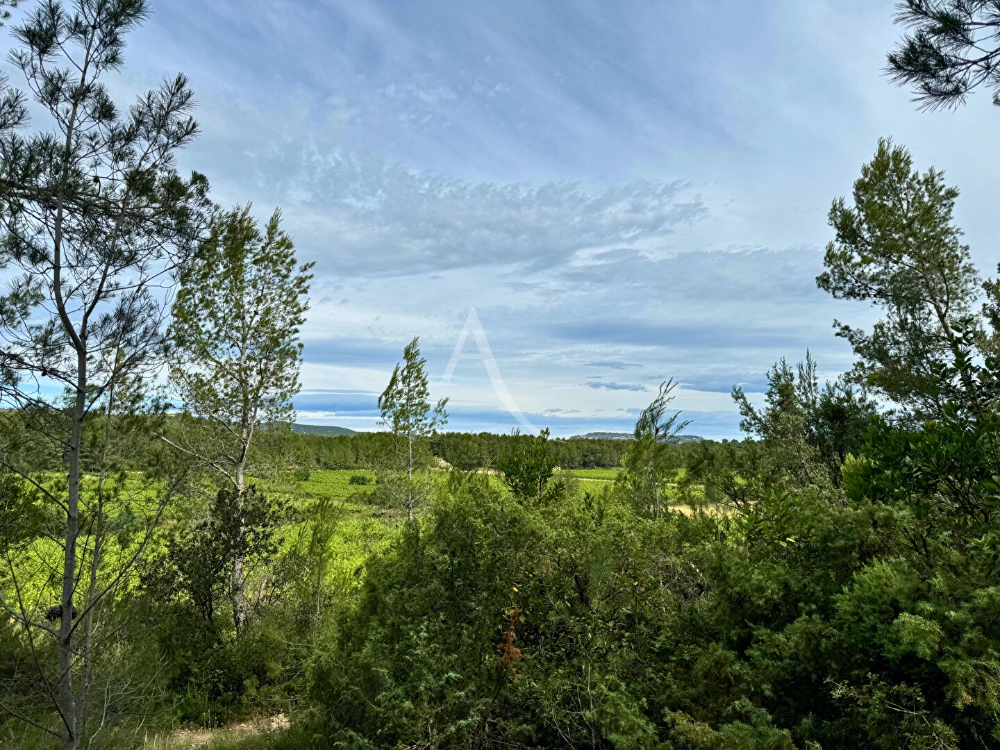 Photo Cadre idyllique ! image 3/6