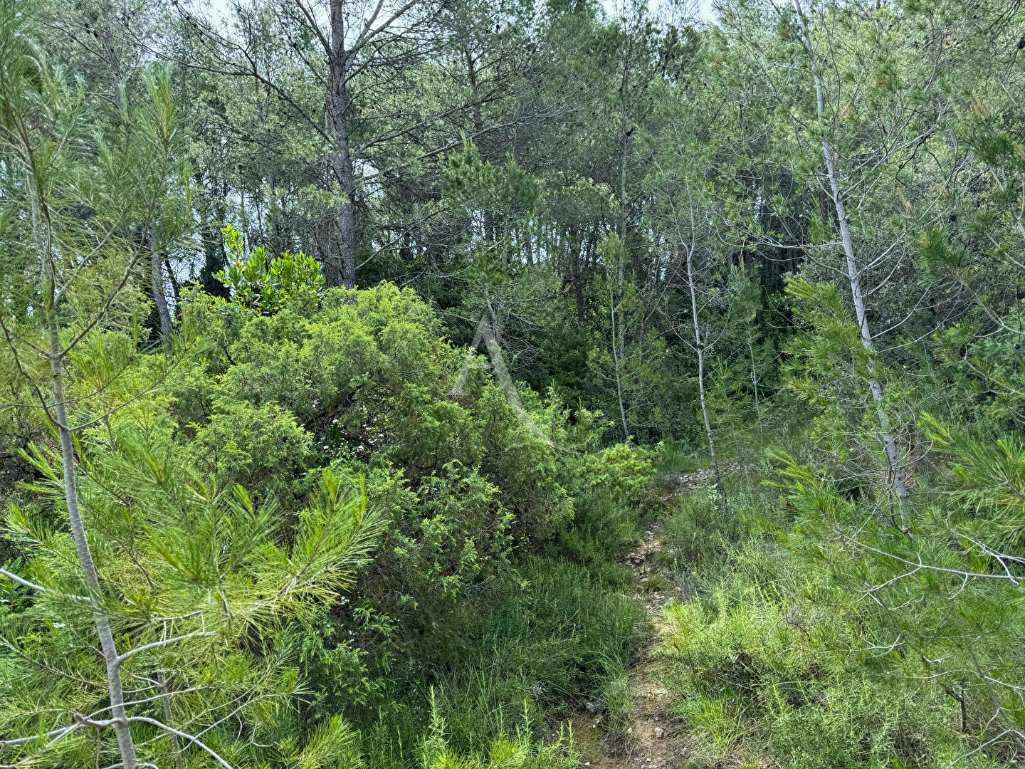 Photo Cadre idyllique ! image 4/6