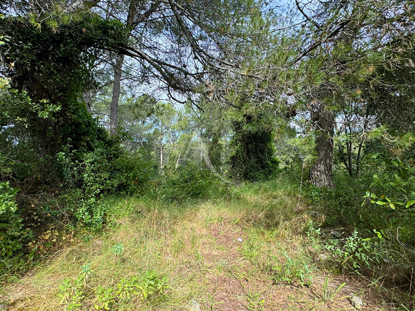 Photo Cadre idyllique ! image 6/6