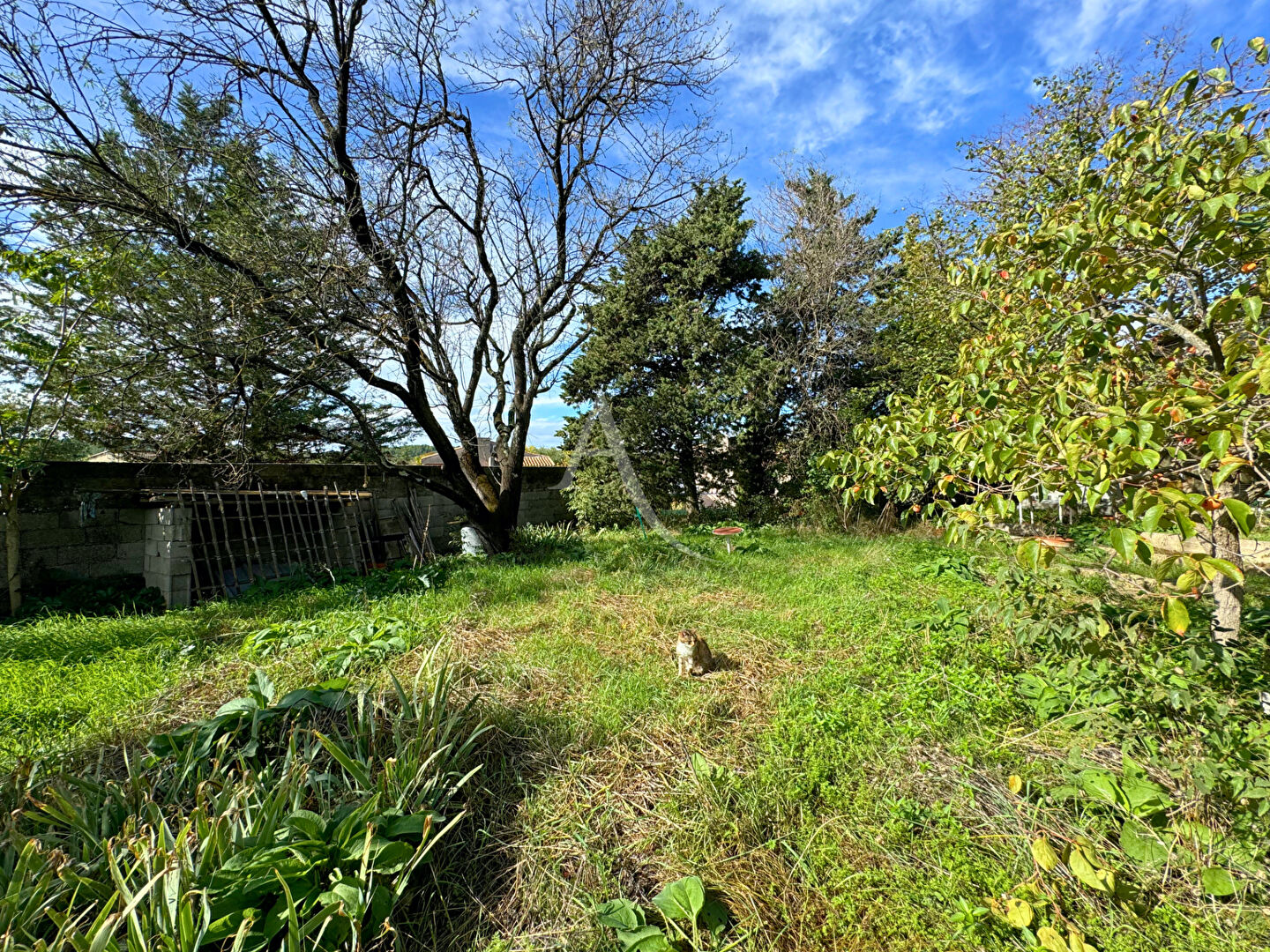 Photo Terrain situé au coeur du village ! image 2/3