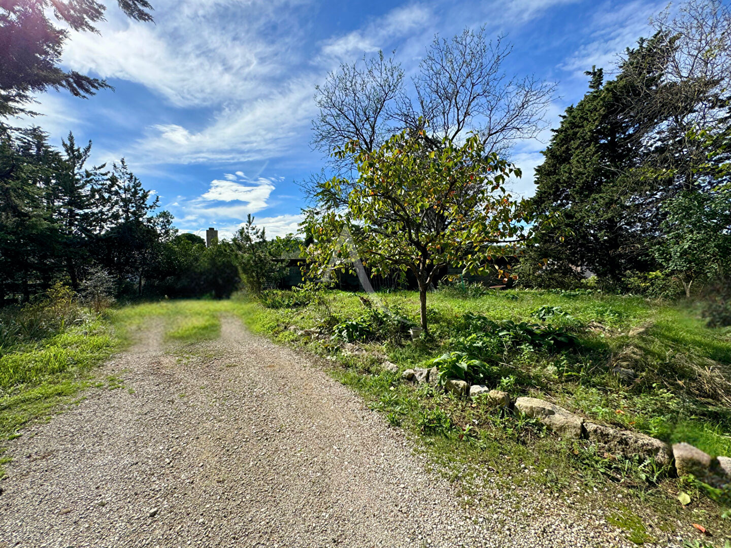 Photo Terrain situé au coeur du village ! image 3/3