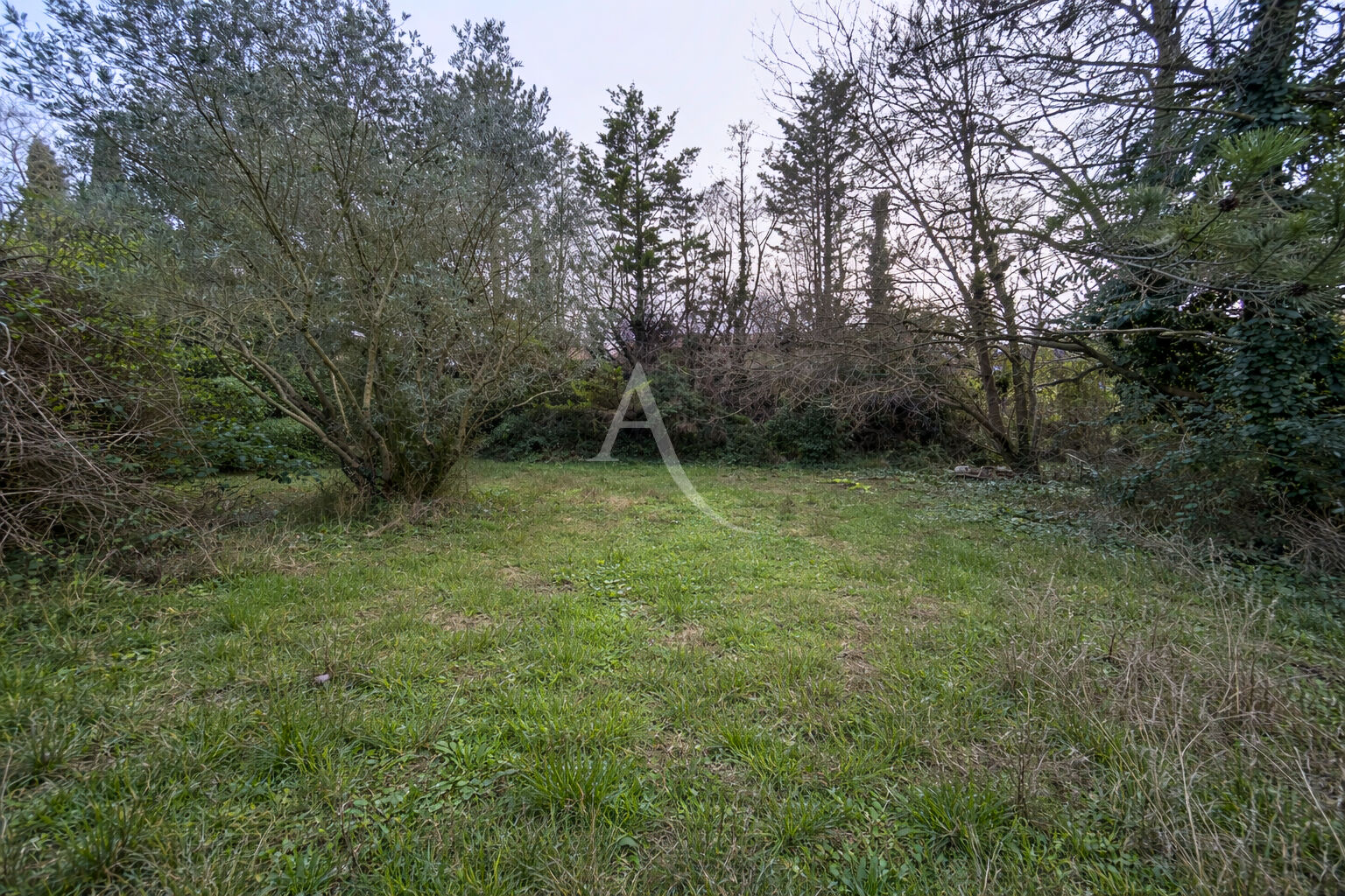 Agence immobilière de L'Adresse  NATERA IMMOBILIER - L'ADRESSE NATERA IMMOBILIER