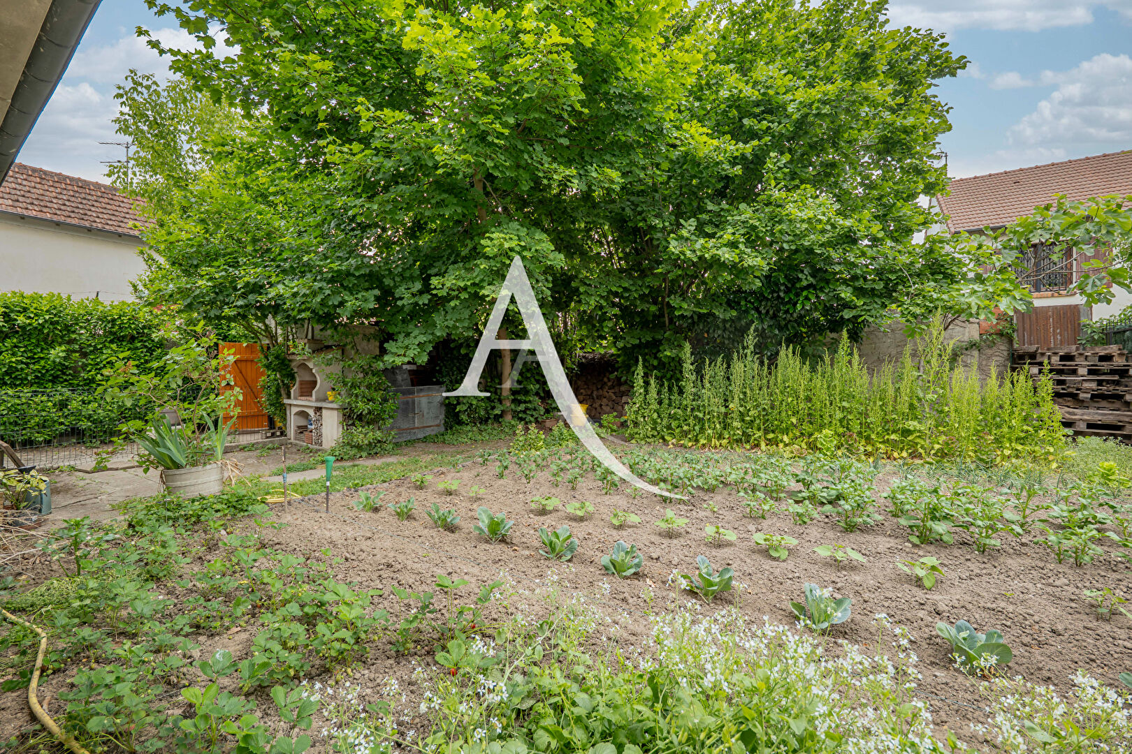 Photo Charmante maison individuelle de plain-pied à Limeil-Brévannes image 5/6