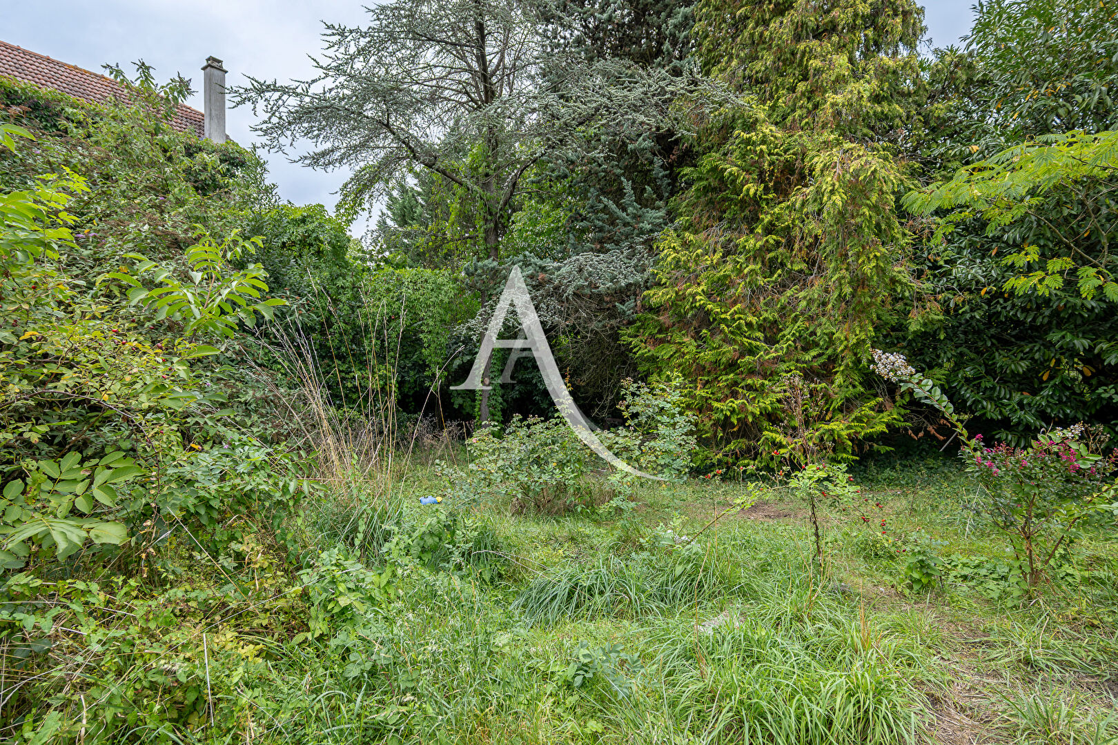 Photo Limeil Brevannes image 2/6