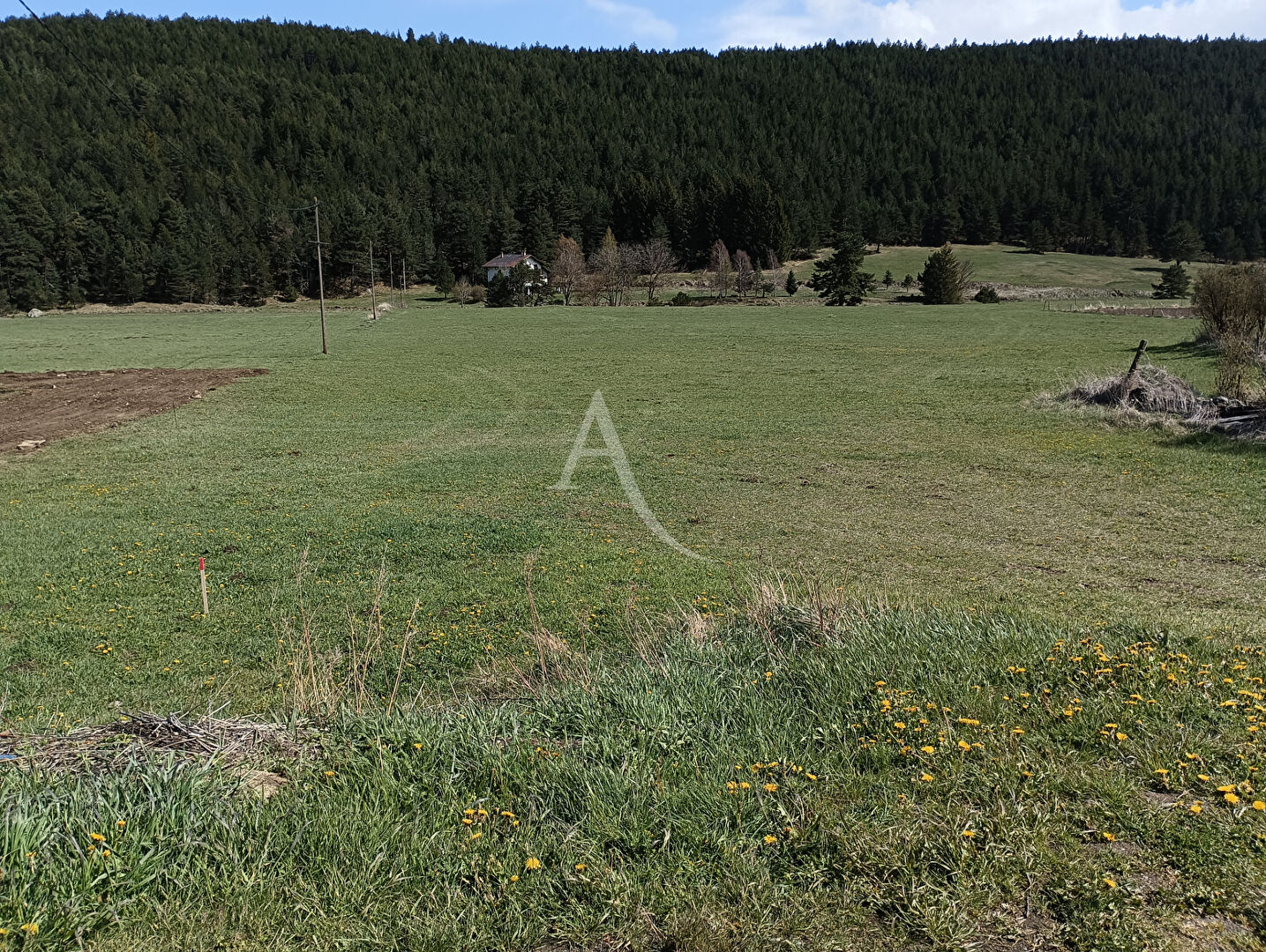 Agence immobilière de L'Adresse PYRENEES SOLEIL - PYRENEES SOLEIL