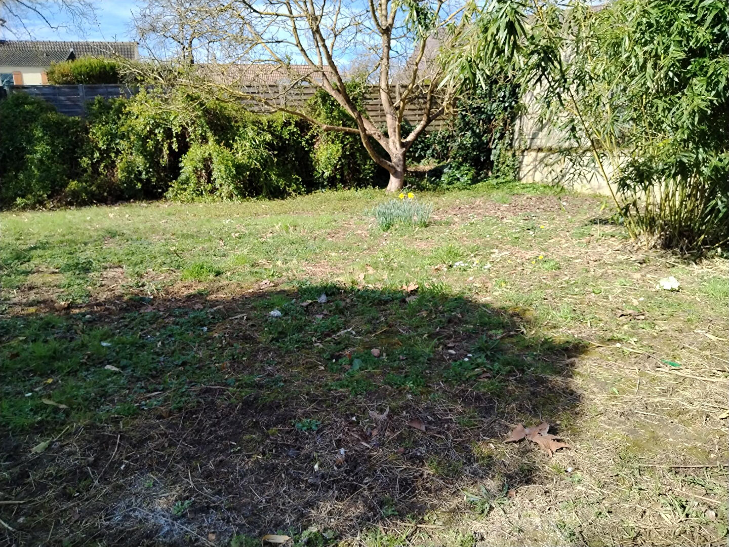 Photo Maison rénovée secteur Meaux image 6/6