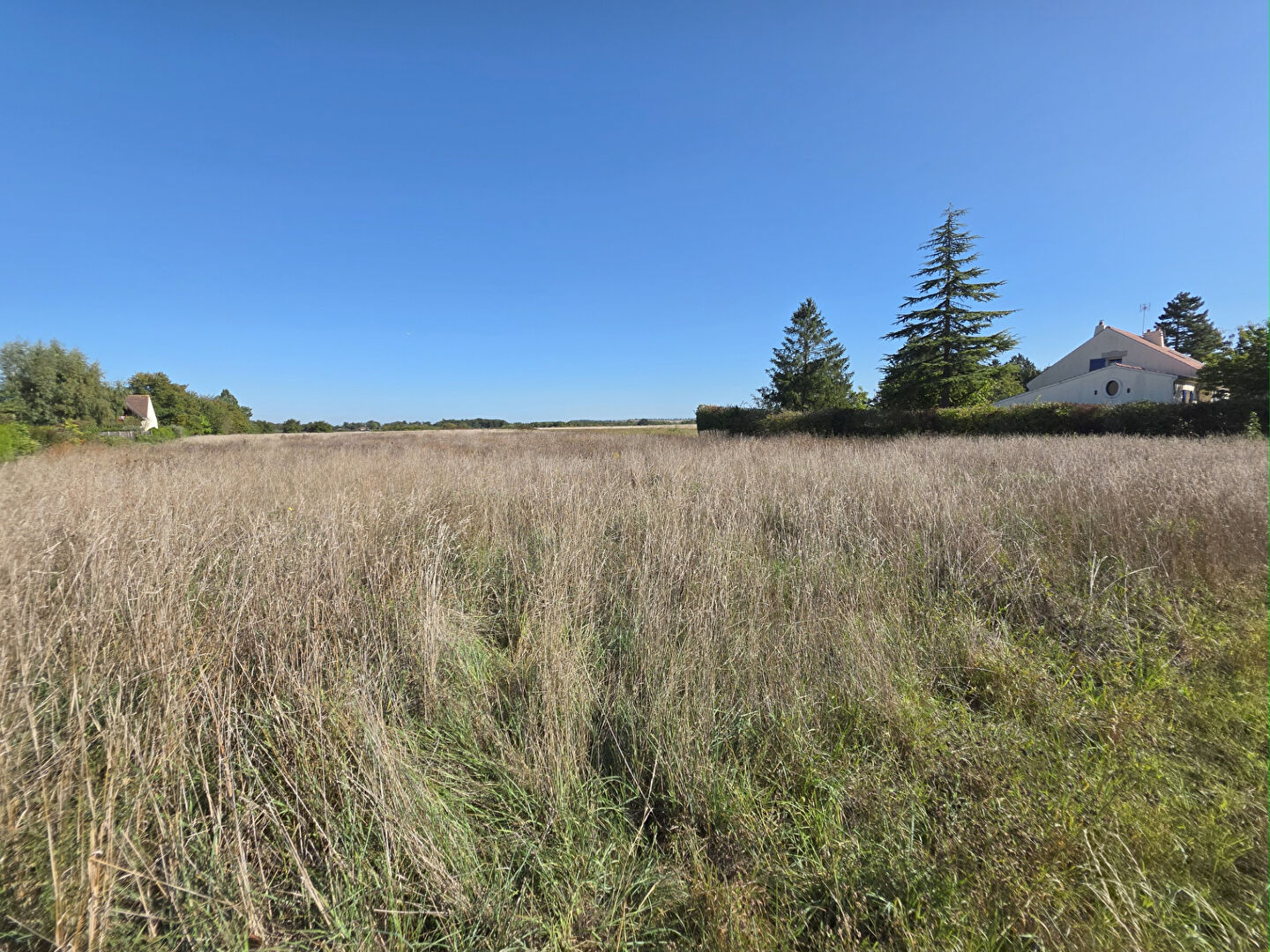 Terrain 1000 m2 22 mètres de façade