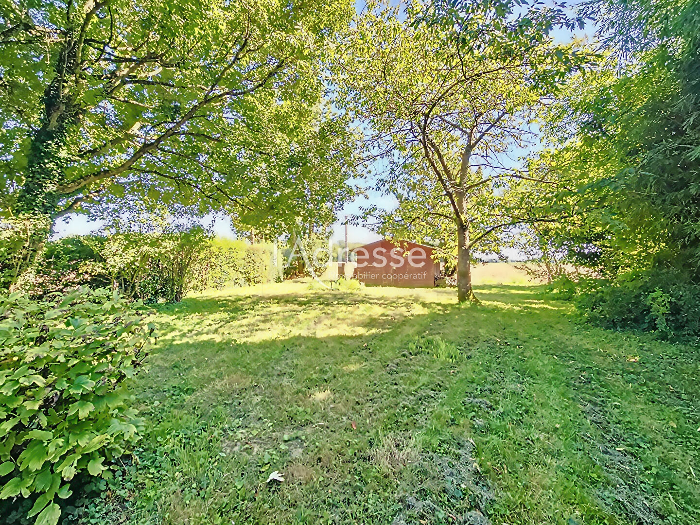 Photo À Vendre : Charmante Maison Briarde au Coeur de la Campagne : Allure Authentique et Cadre Bucolique image 4/6