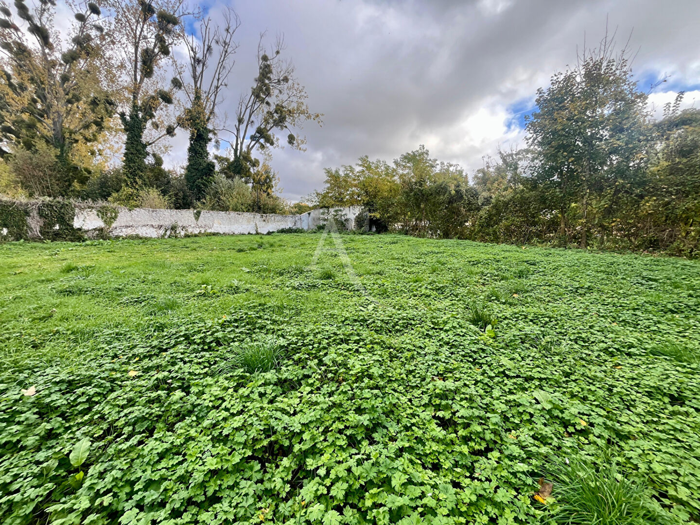 Photo TERRAIN NANTOUILLET image 3/3