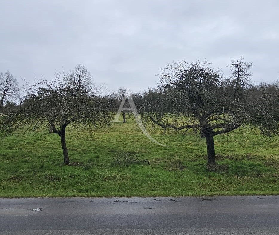 Agence immobilière de 
 L'Adresse AGENCE I'MEAUX - L'ADRESSE Agence de Trilport 
