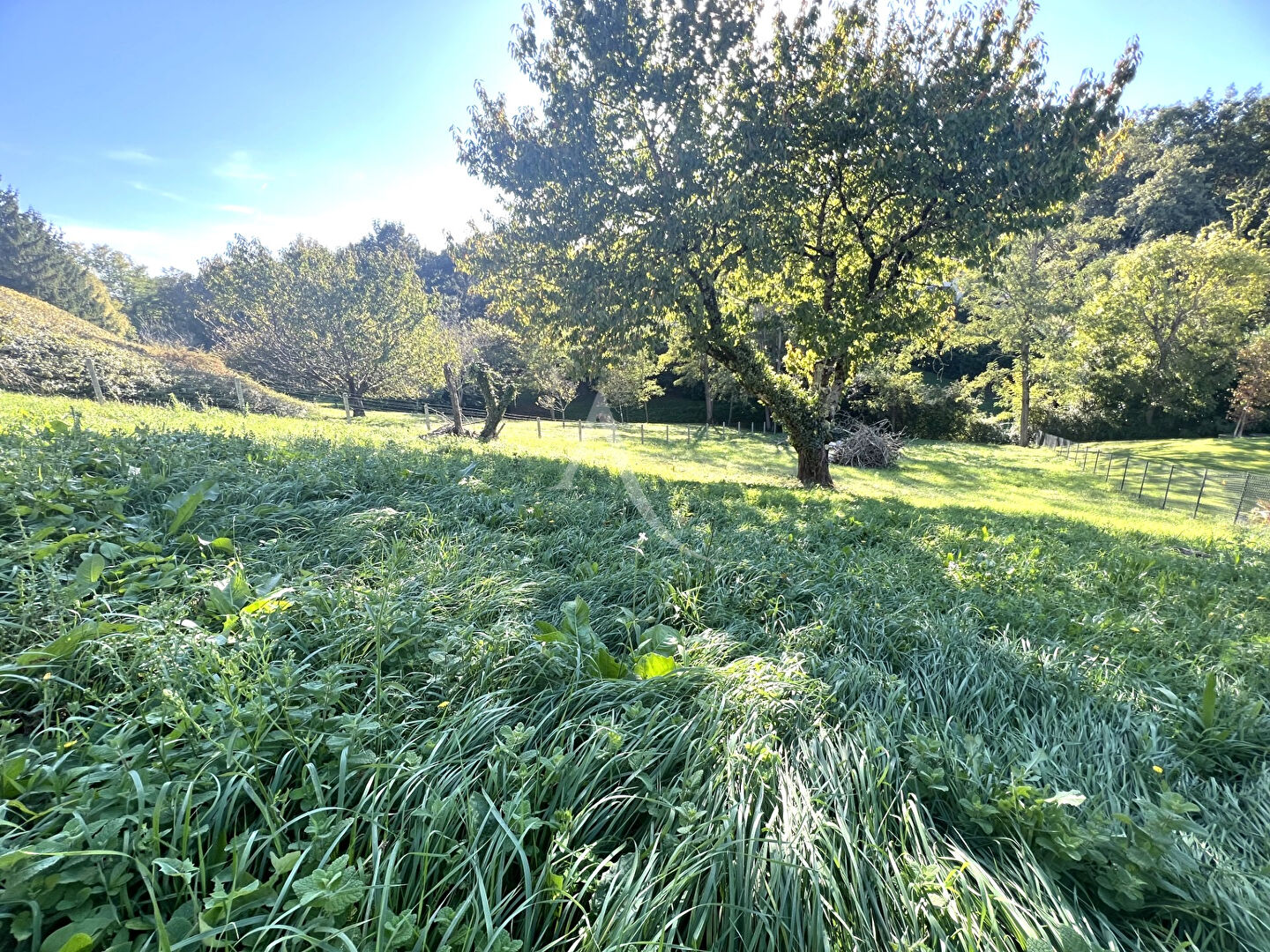 Photo Maison 4 pièces Castanet Tolosan Côteaux image 4/5