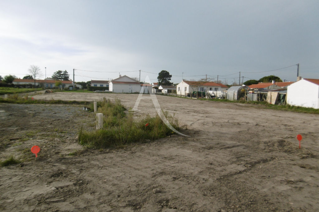 Terrain Notre Dame De Monts 557 m2 NotreDamedeMonts 85690