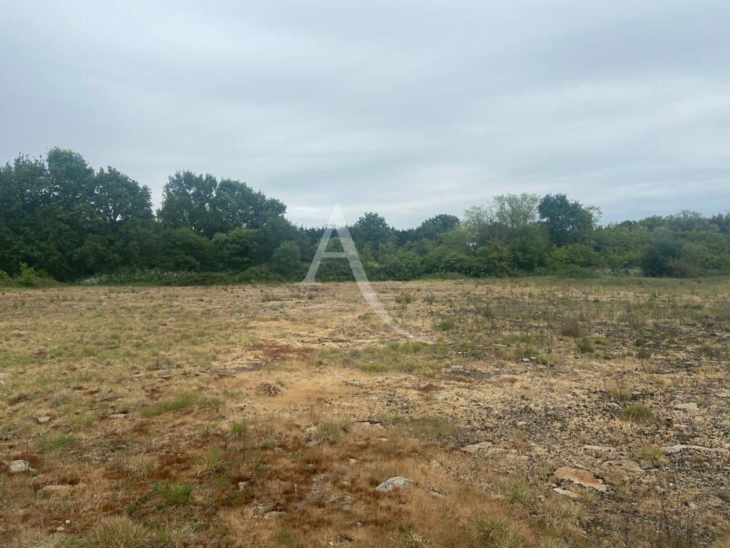 Photo Terrain Challans 3770m2 image 2/4