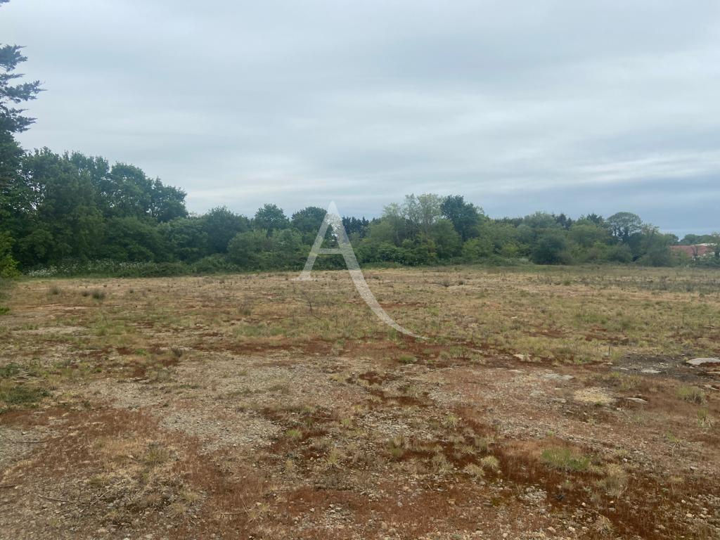 Photo Terrain Challans 3770m2 image 3/4