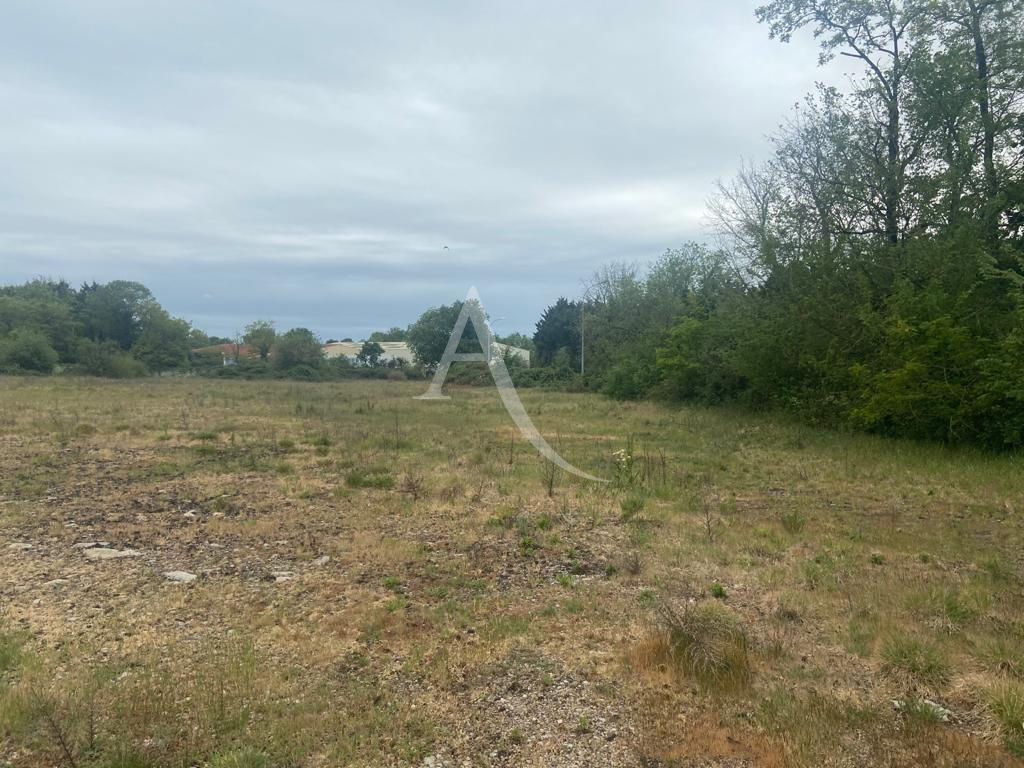 Photo Terrain Challans 3770m2 image 4/4