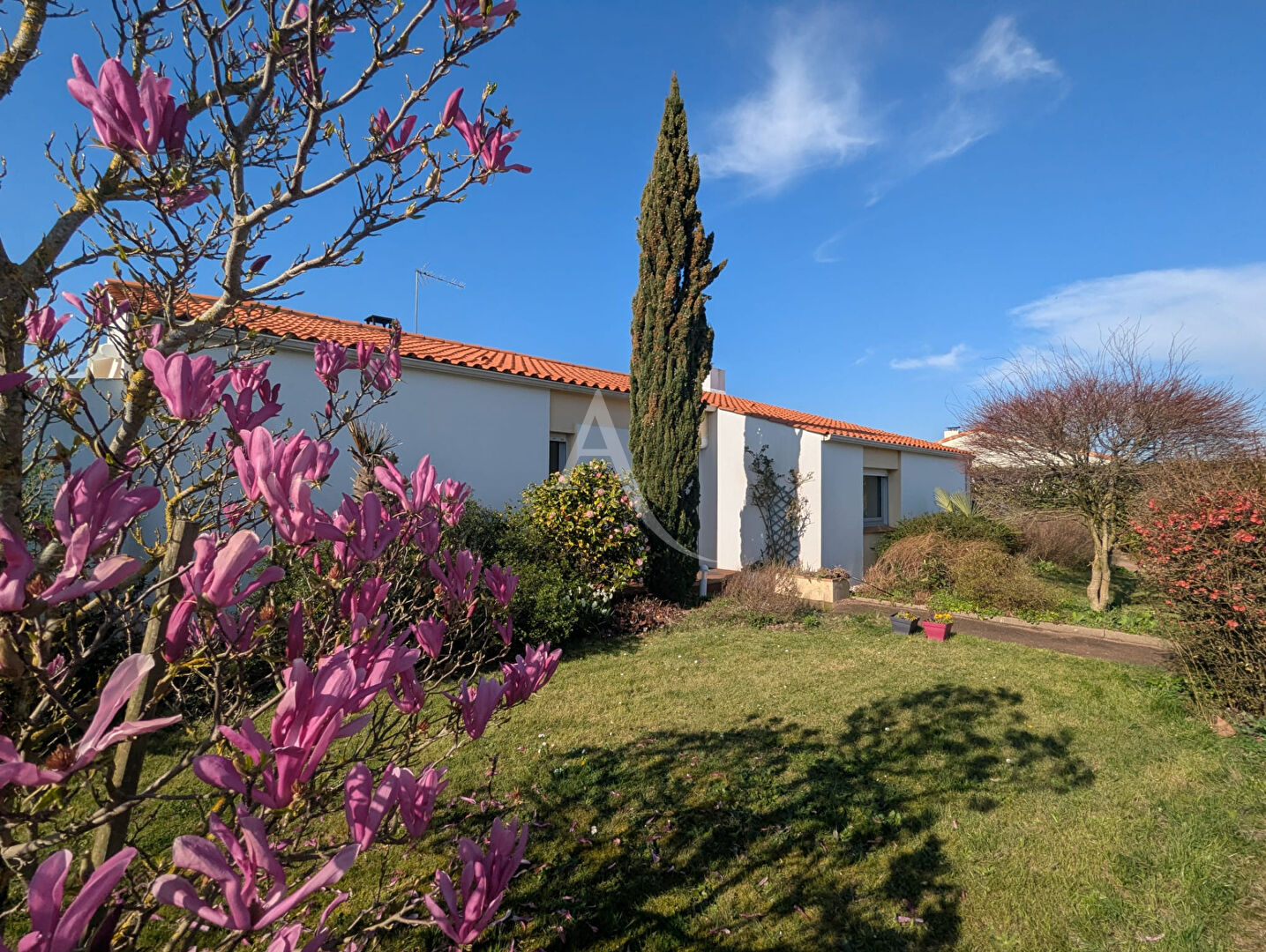 Agence immobilière de L'Adresse Agence de l'Esplanade - AGENCE DE CHALLANS