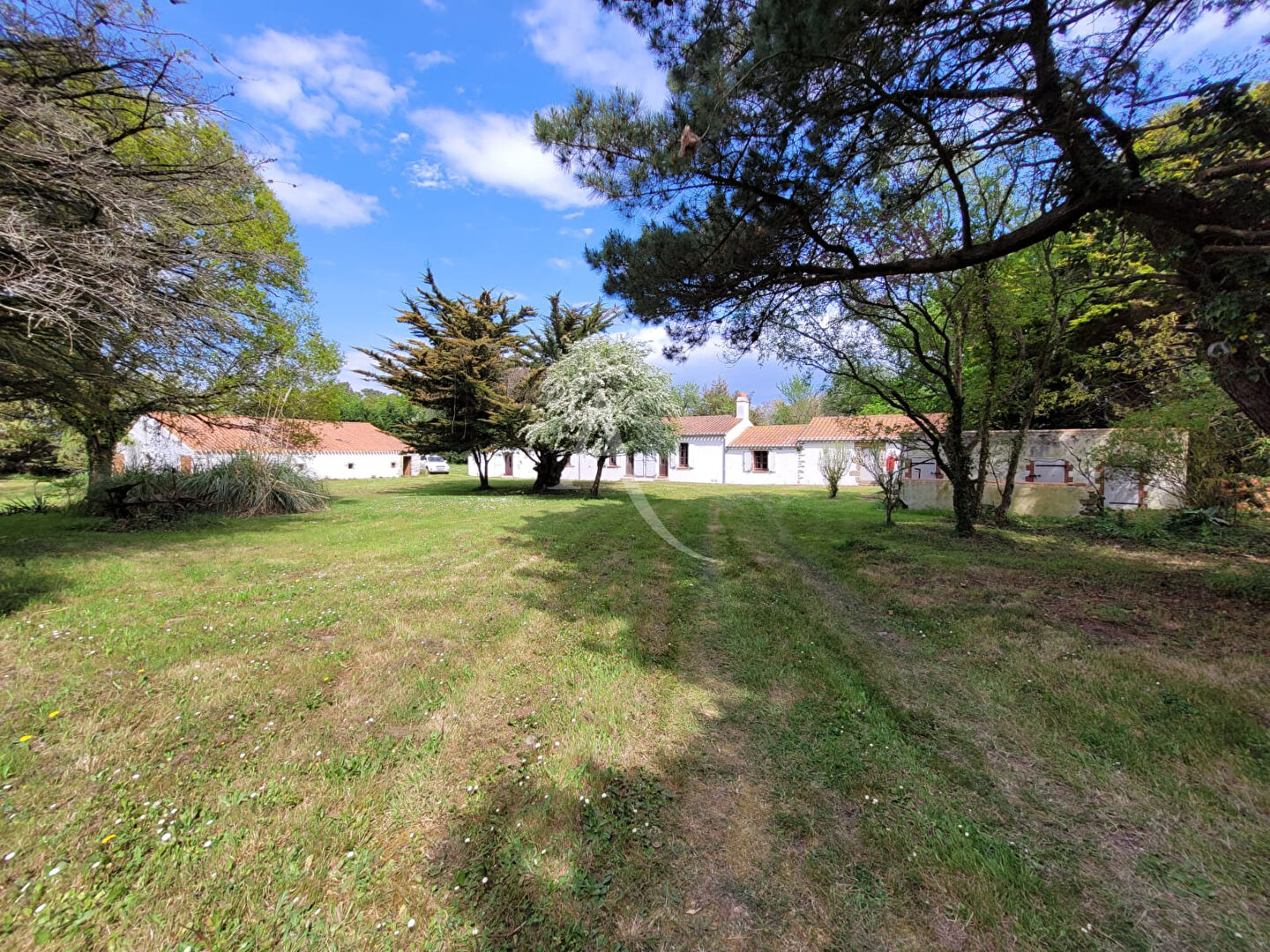 Agence immobilière de L'Adresse Agence de l'Esplanade - AGENCE DE CHALLANS