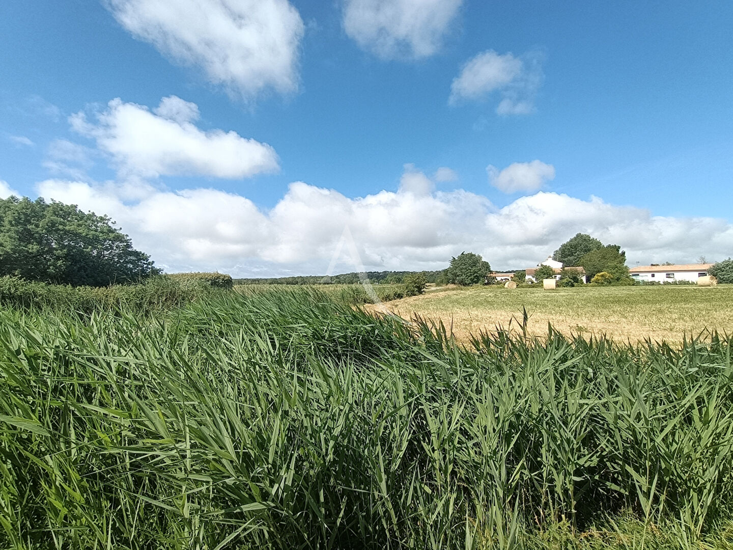 Agence immobilière de l'Adresse - La Barre de Monts