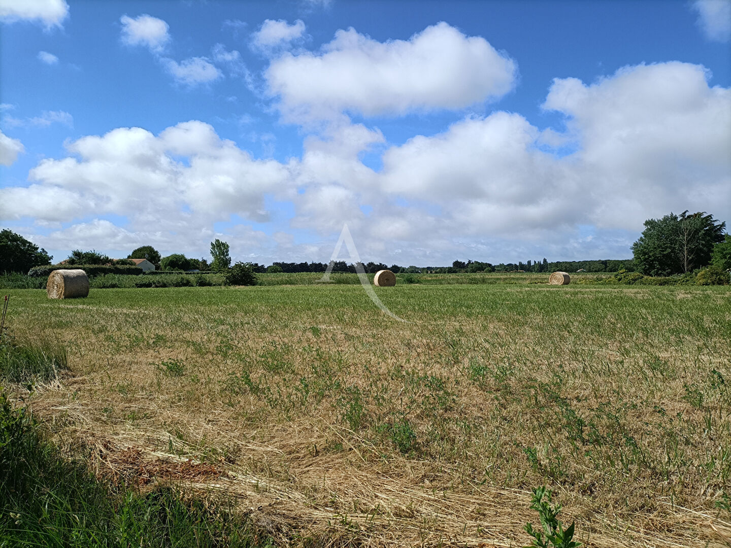 Photo Terrain La Barre De Monts image 4/5