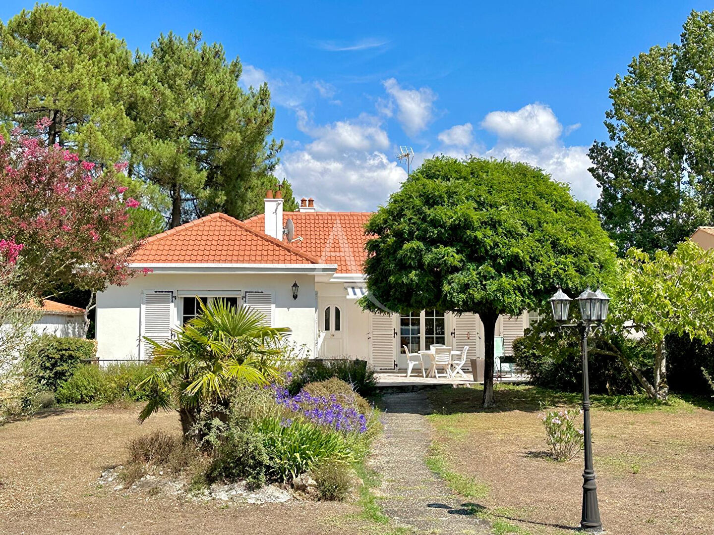 Agence immobilière de L'Adresse Agence de l'Esplanade - Agence de l'Esplanade