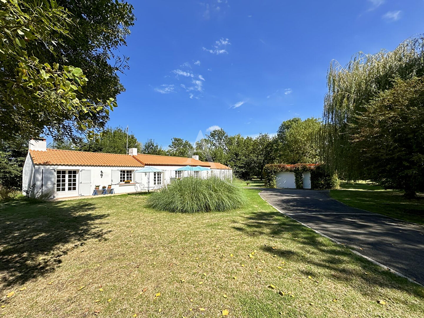 Agence immobilière de L'Adresse Agence de l'Esplanade - Agence de l'Esplanade
