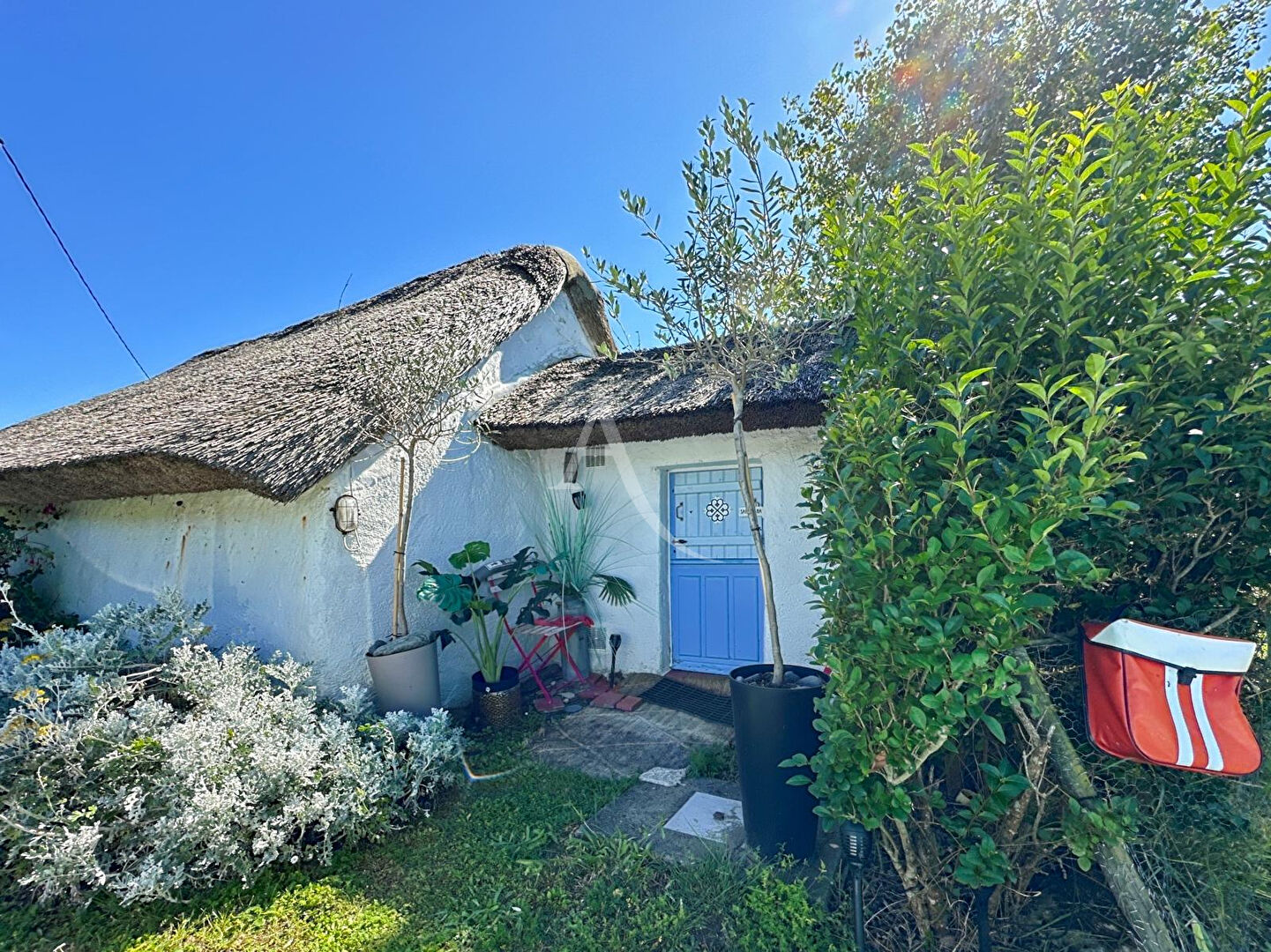 Photo Maison - Bourrine Typique rénovée image 4/6