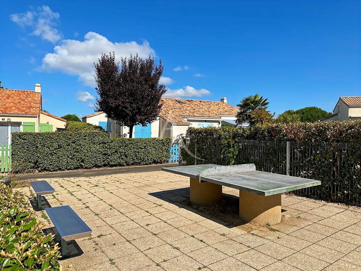Photo Maison T2 mezzanine dans résidence avec piscine image 3/6