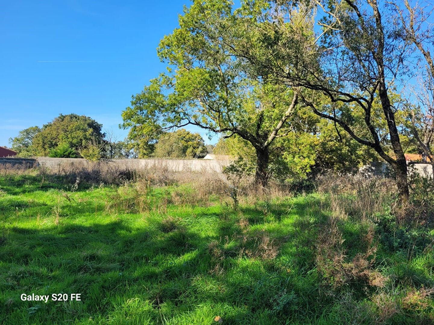 Photo Terrain La Garnache 1253m2 image 1/3