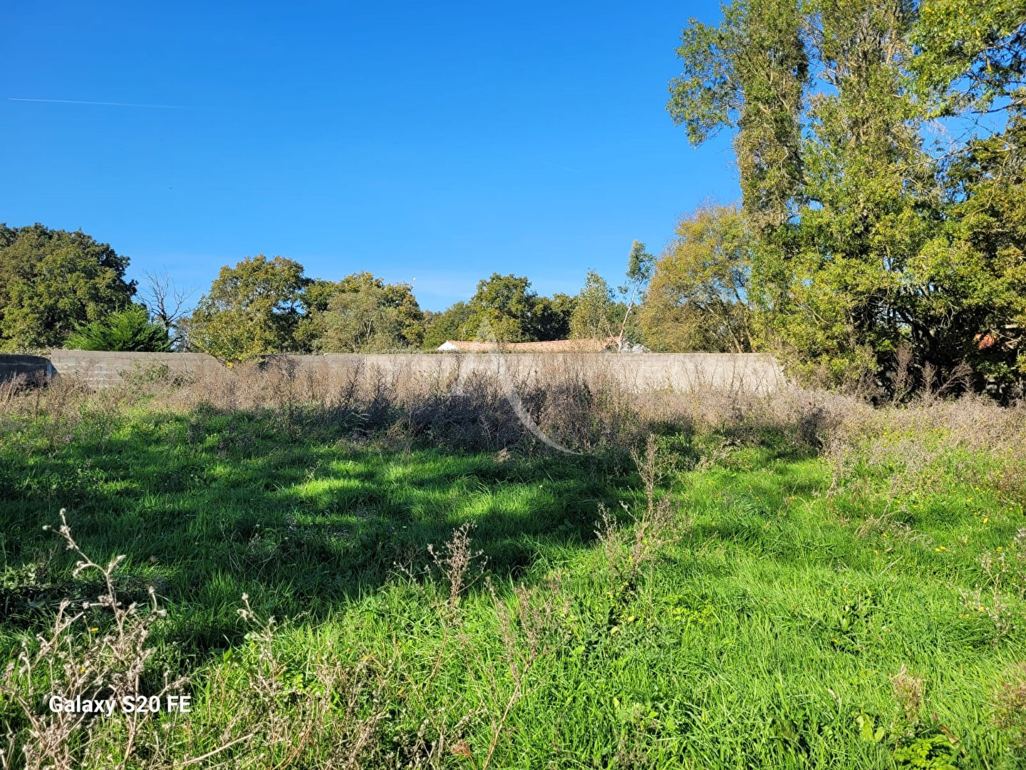 Photo Terrain La Garnache 1253m2 image 2/3