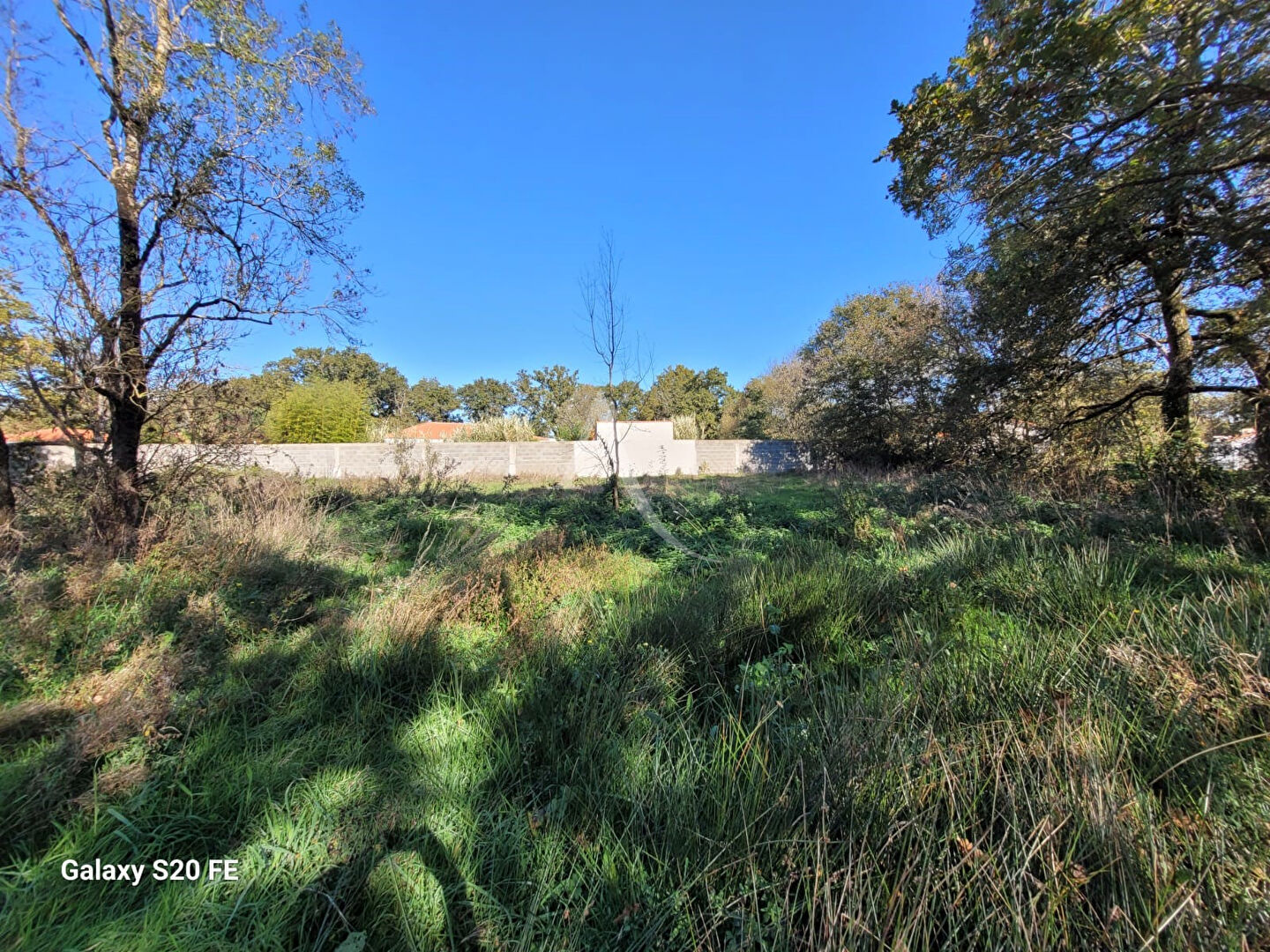 Photo Terrain La Garnache 1248 m2 image 1/3