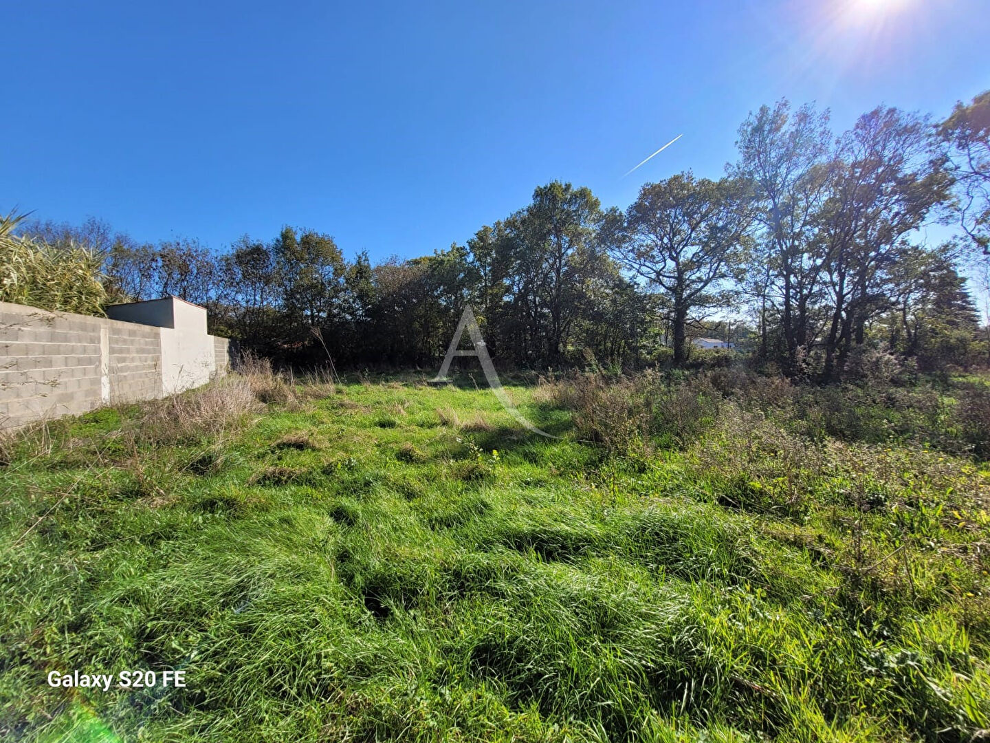 Photo Terrain La Garnache 1248 m2 image 2/3