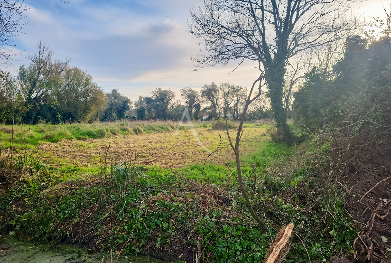 Photo Terrain viabilisé de 653 m² - Notre Dame De Monts image 4/5
