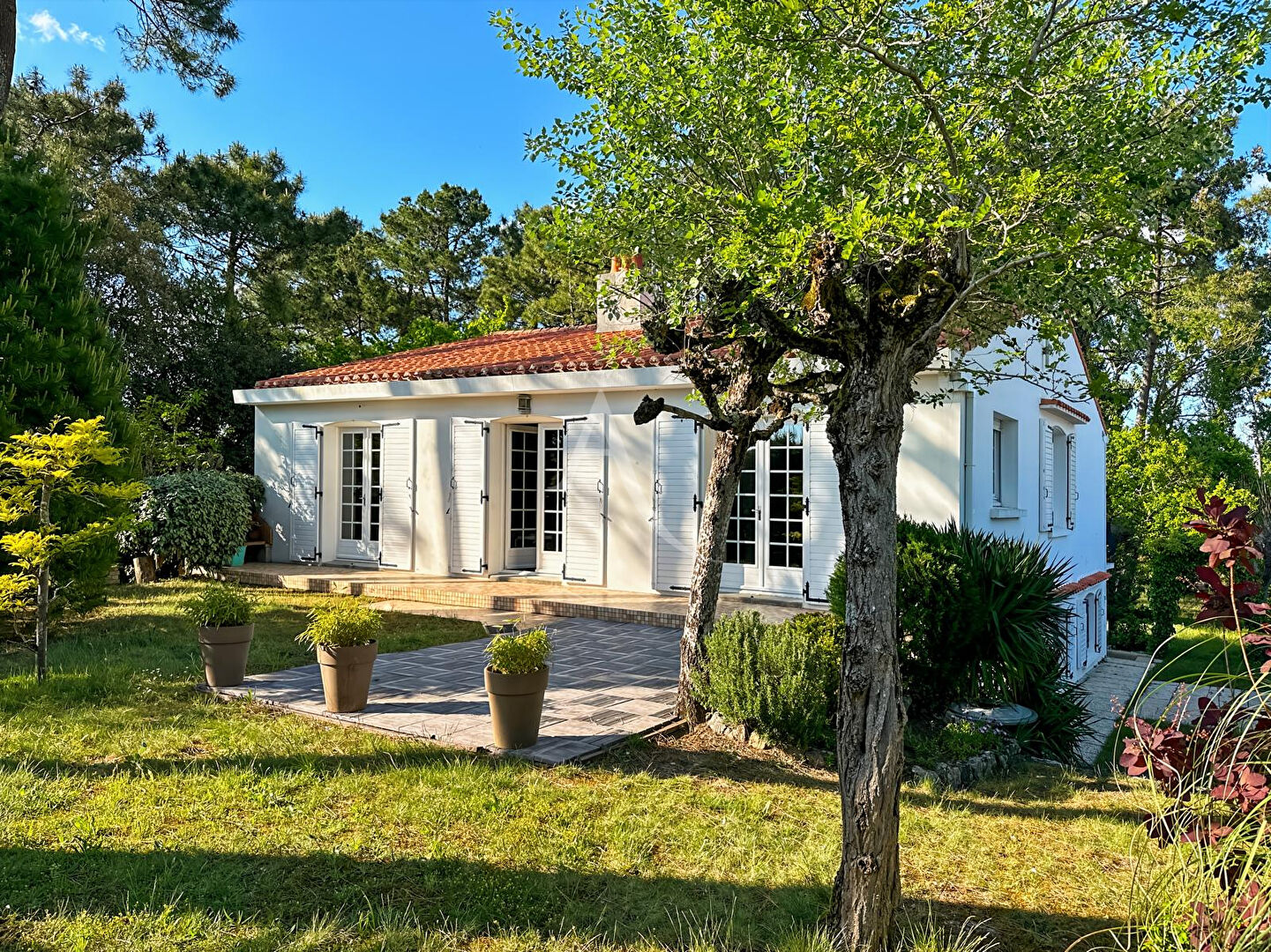 Agence immobilière de L'Adresse Agence de l'Esplanade - Agence de l'Esplanade