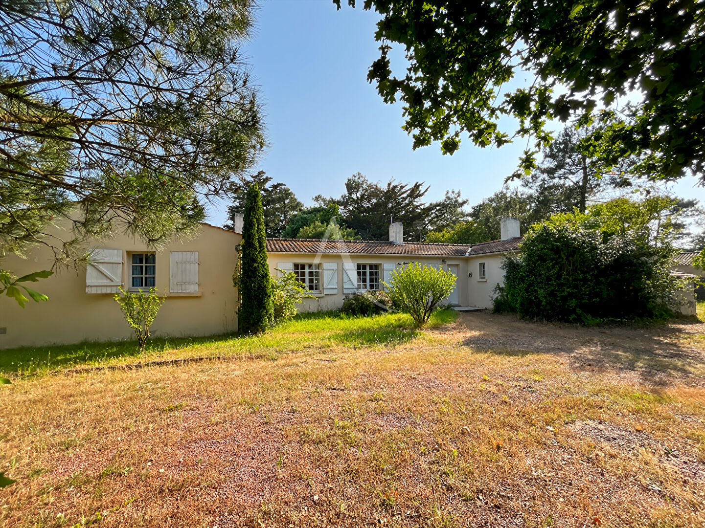 Agence immobilière de L'Adresse Agence de l'Esplanade - Agence de l'Esplanade