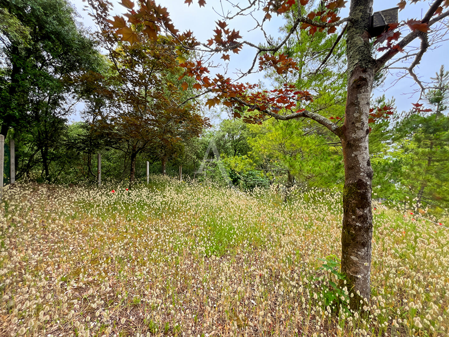 Agence immobilière de l'Adresse - La Barre de Monts