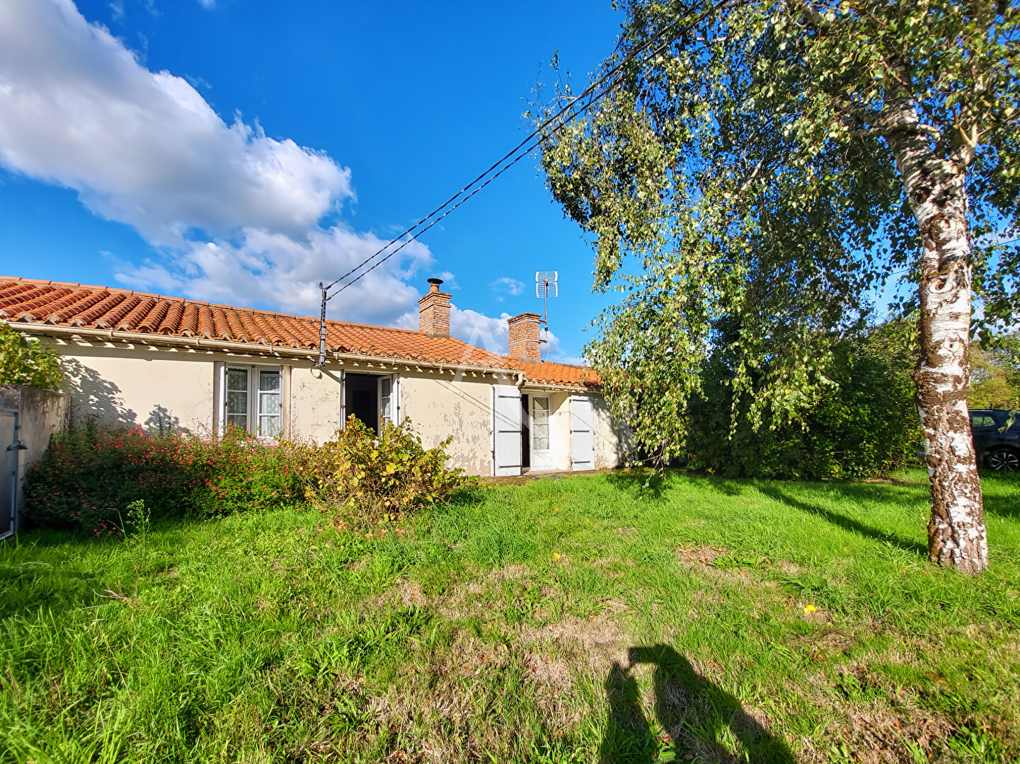Photo SALLERTAINE , maison de 39 m² à restaurer sur plus de 1 hectare ! image 1/6