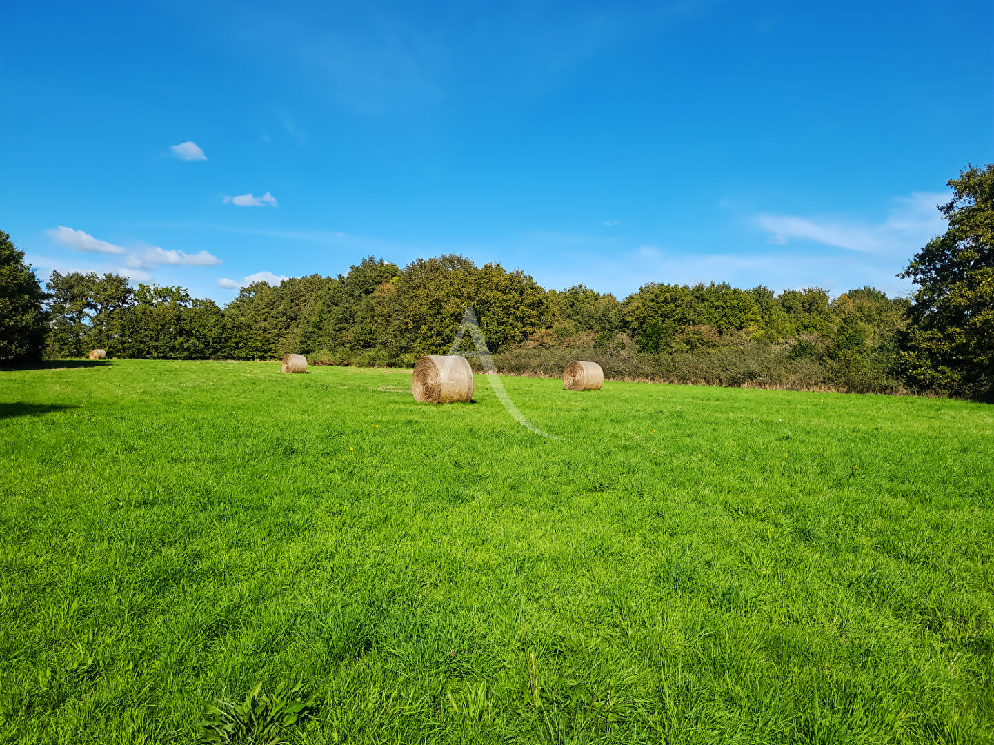 Photo SALLERTAINE , maison de 39 m² à restaurer sur plus de 1 hectare ! image 6/6