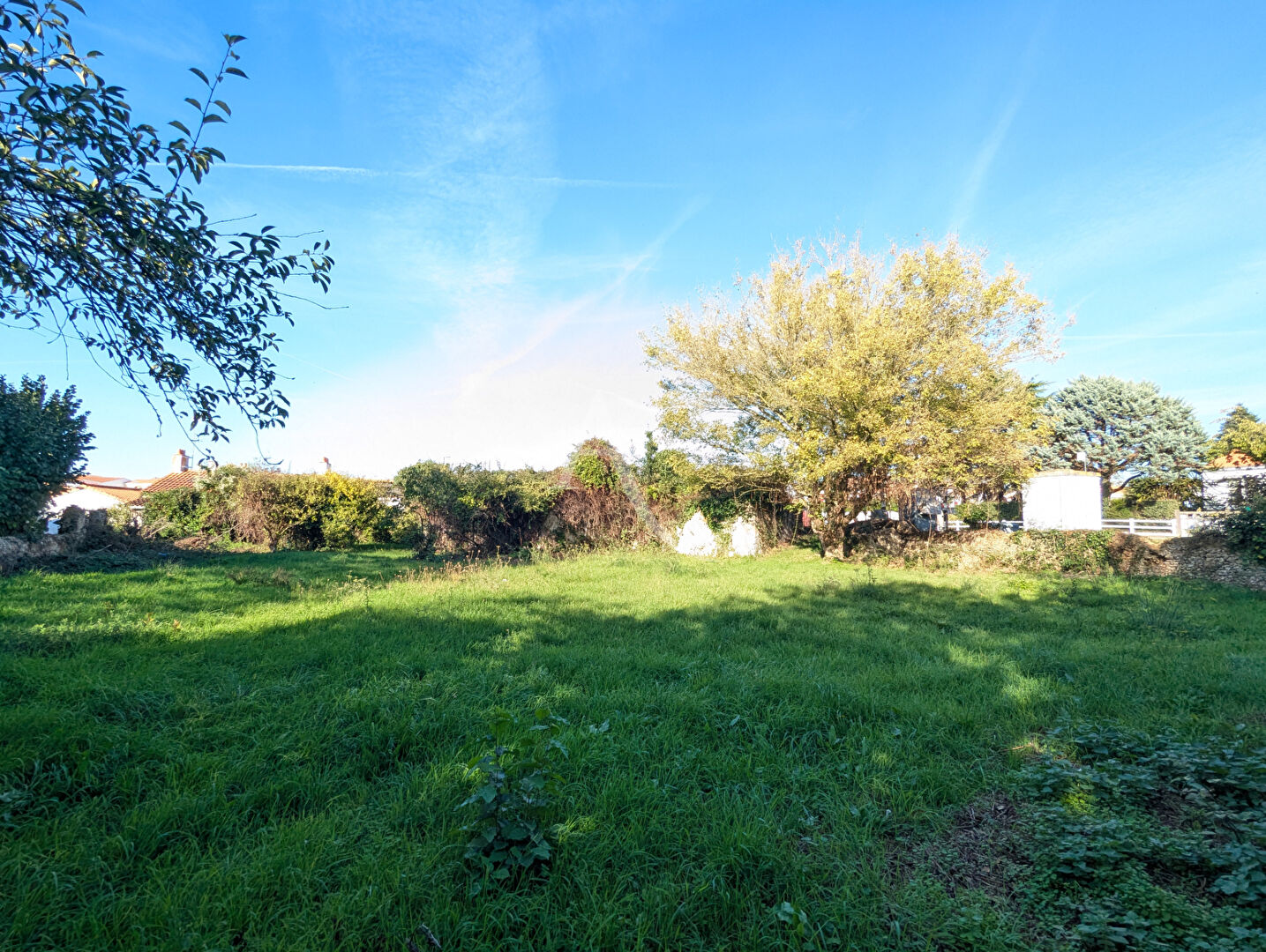 Photo Terrain Challans 882m2 image 2/5