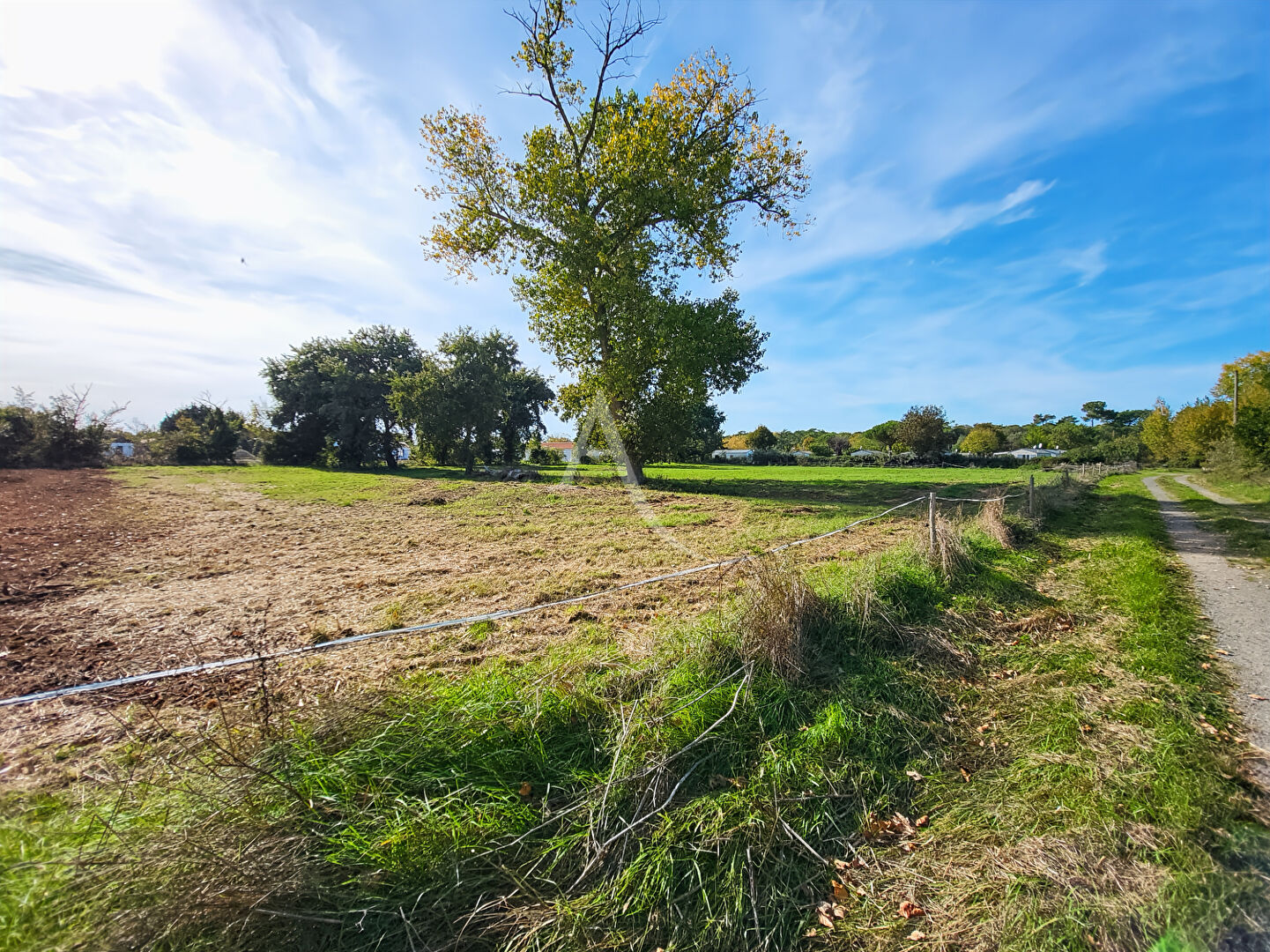 Photo Terrain viabilisé de 370 m² -  Notre Dame de Monts image 3/5